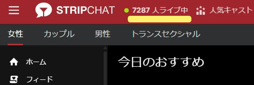 ストリップチャットホーム